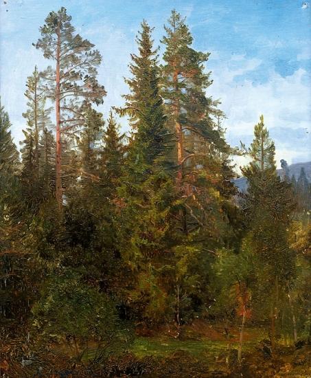 Anders Askevold Skogsstudie fra Eide Sweden oil painting art